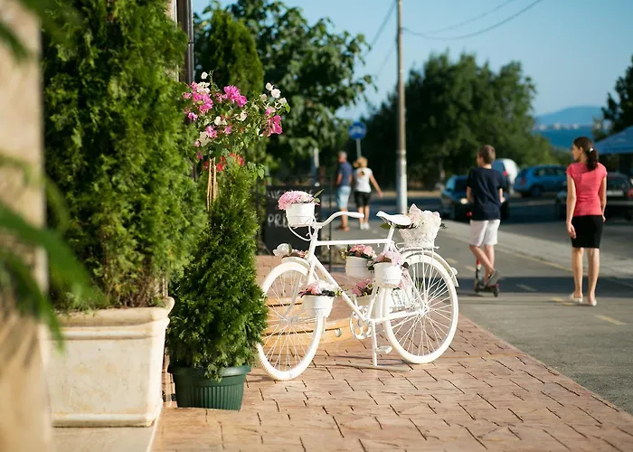 семеен прованс Aheloi